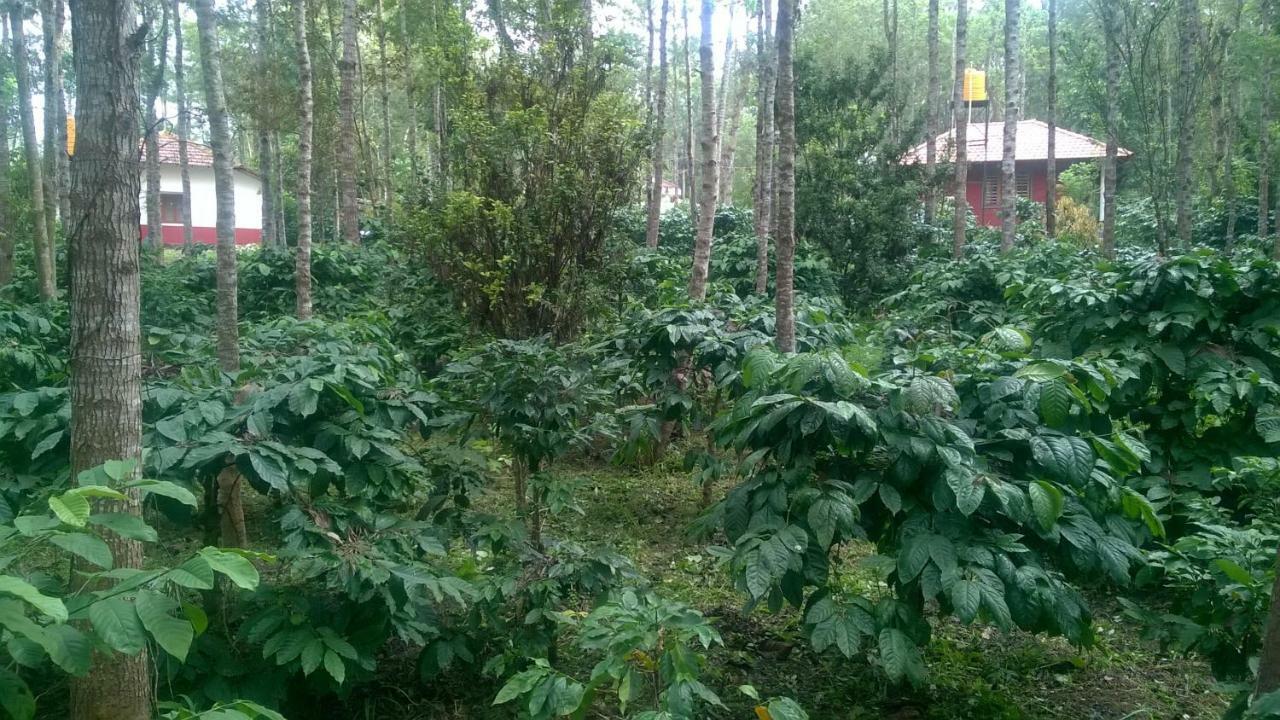 Rai Cottage @ Coorg ,Suntikoppa Exterior photo