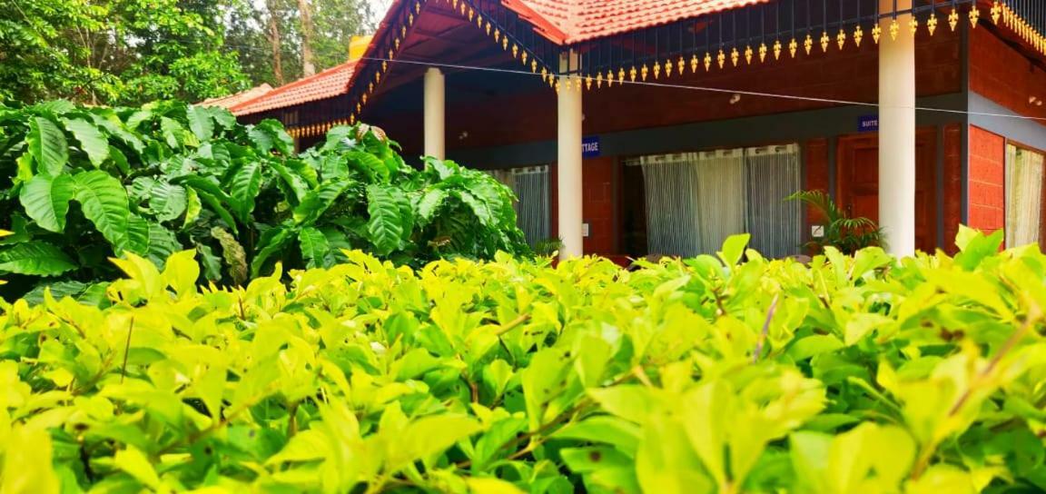 Rai Cottage @ Coorg ,Suntikoppa Exterior photo